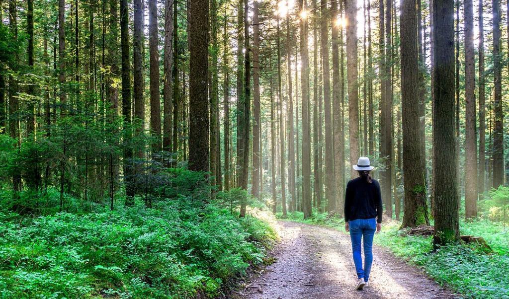 En promenad, särskilt i naturen och i tystnad kan vara utmärkt för att bli kreativt inspirerad.