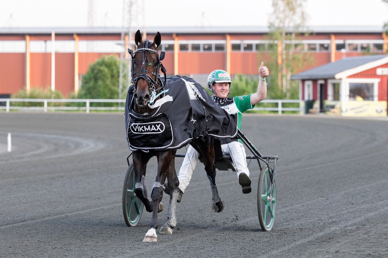 Elitloppshästen Jobspost tillsammans med sin tränare Jörgen Westholm. Blir det segerdefilering på lördag? Foto: Lena Emmoth / TR Bild