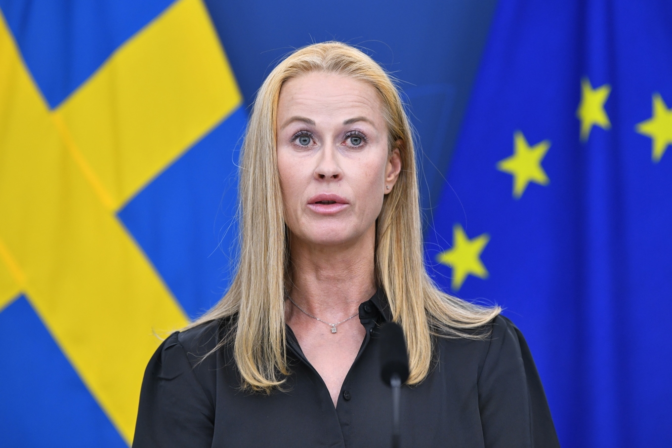 Katja Nyberg var ledamot i justitieutskottet för Sverigedemokraterna, nu åtalas hon. Arkivbild. Foto: Lars Schröder/TT