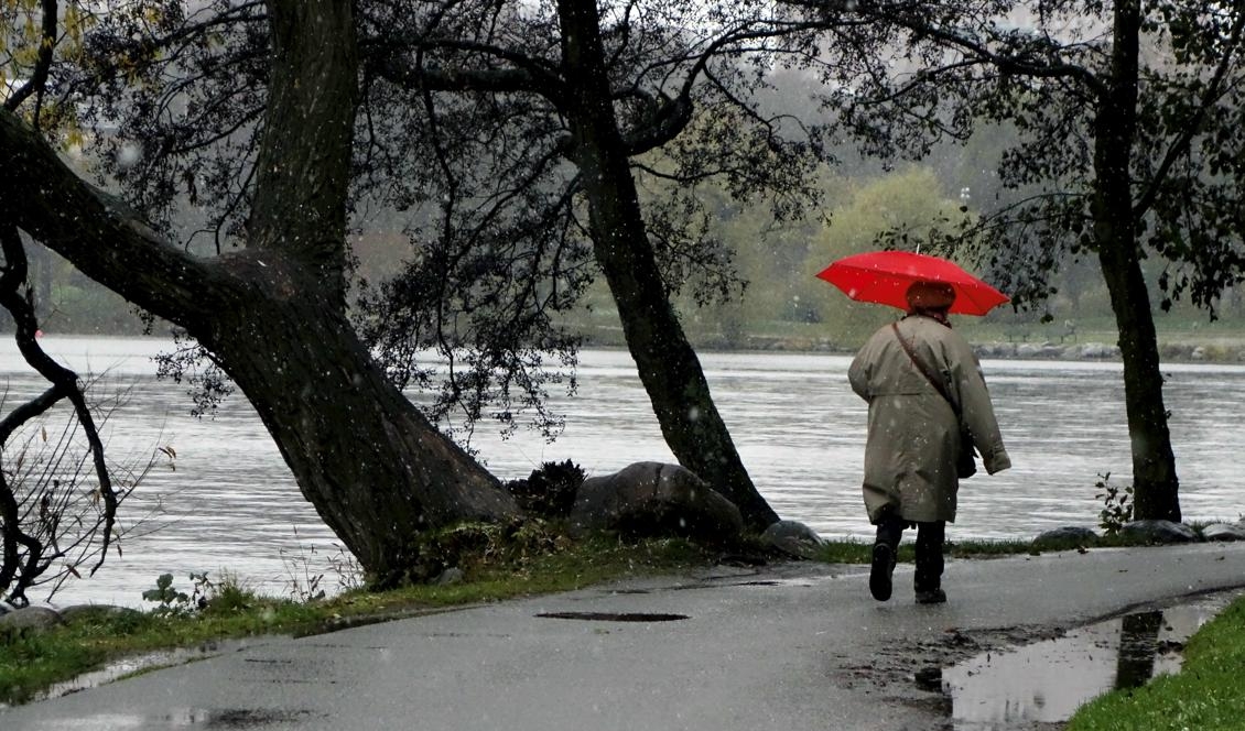 För de allra flesta är hösten inte här ännu, även om temperaturen sjunker. Foto: Hasse Holmberg/TT