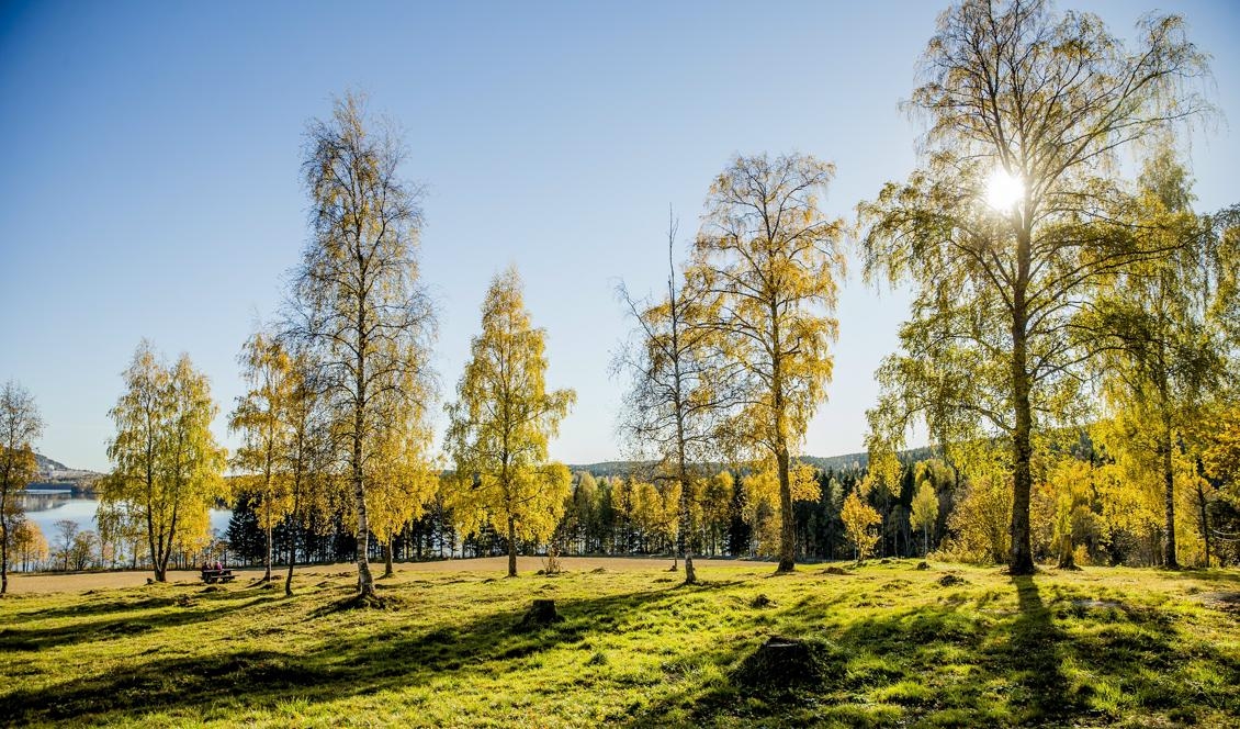 Varm luft strömmar in över landet söderifrån på onsdag. Foto: Stian Lysberg Solum/TT-arkivbild