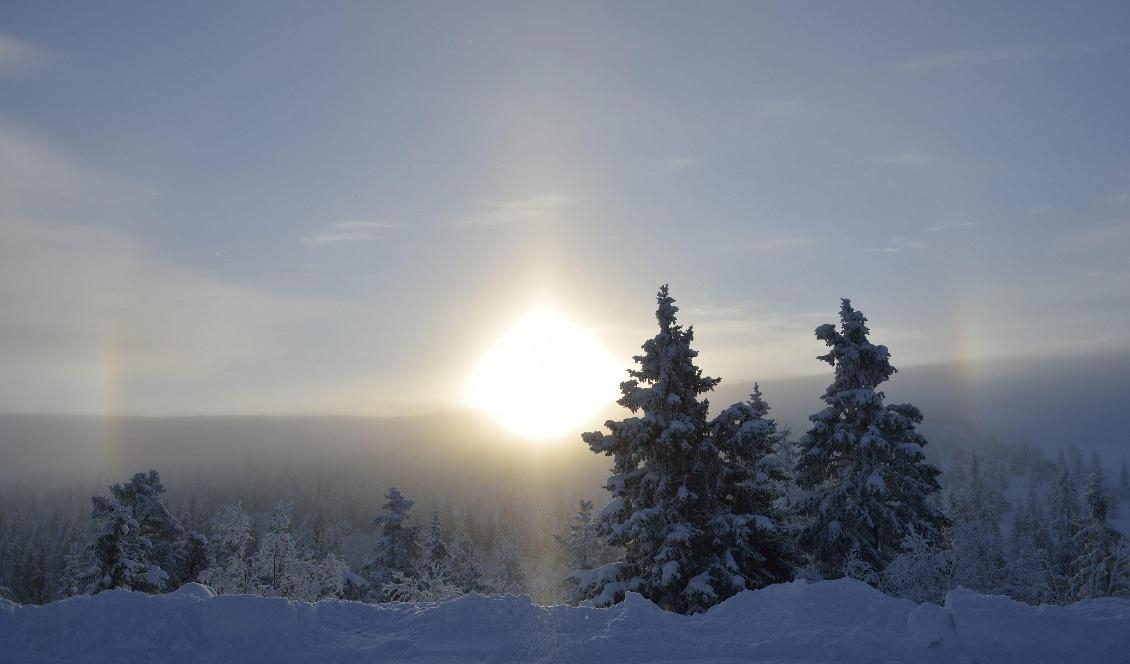 
På julafton blir det både soligt och kallt, enligt SMHI. Och där snön redan ligger kommer det att glittra ordentligt. Foto: Henrik Montgomery/TT-arkivbild                                                