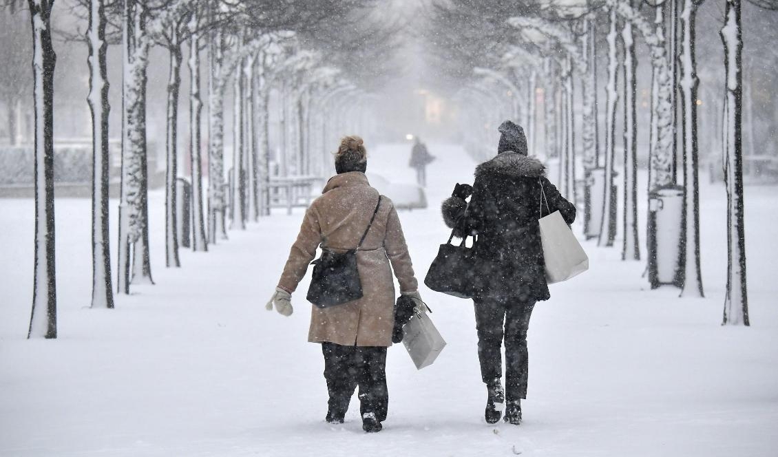 Mycket snö på sina håll i norra delarna av landet. I söder är prognosen mer osäker. Foto: Anders Wiklund/TT-arkivbild