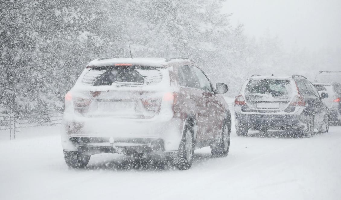 Det blir snöigt vid Norrlandskusten under måndagen. Foto: Christine Olsson/TT-arkivbild