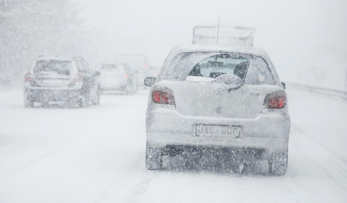 Mycket snö väntas i norr. Foto: Christine Olsson/TT-arkivbild