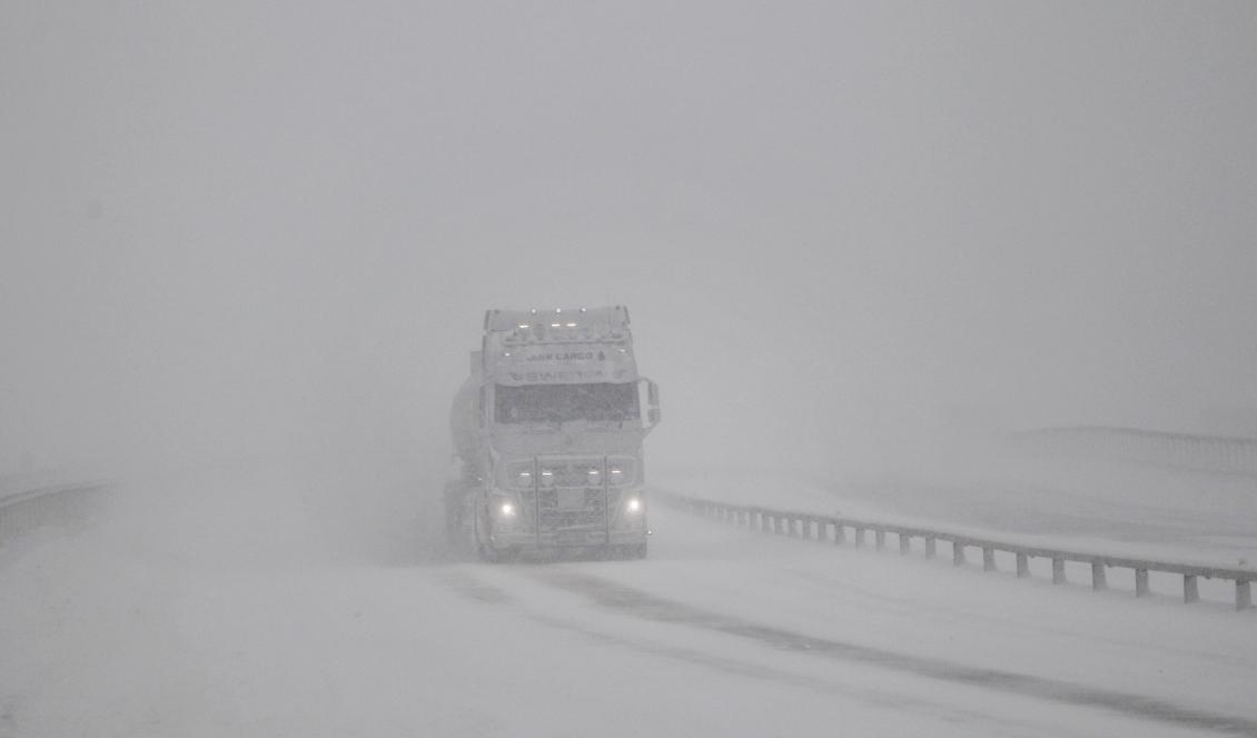 Storm i fjällen och stormbyar över resten av Norrland väntas under torsdagen. Mats Andersson/TT-arkivbild