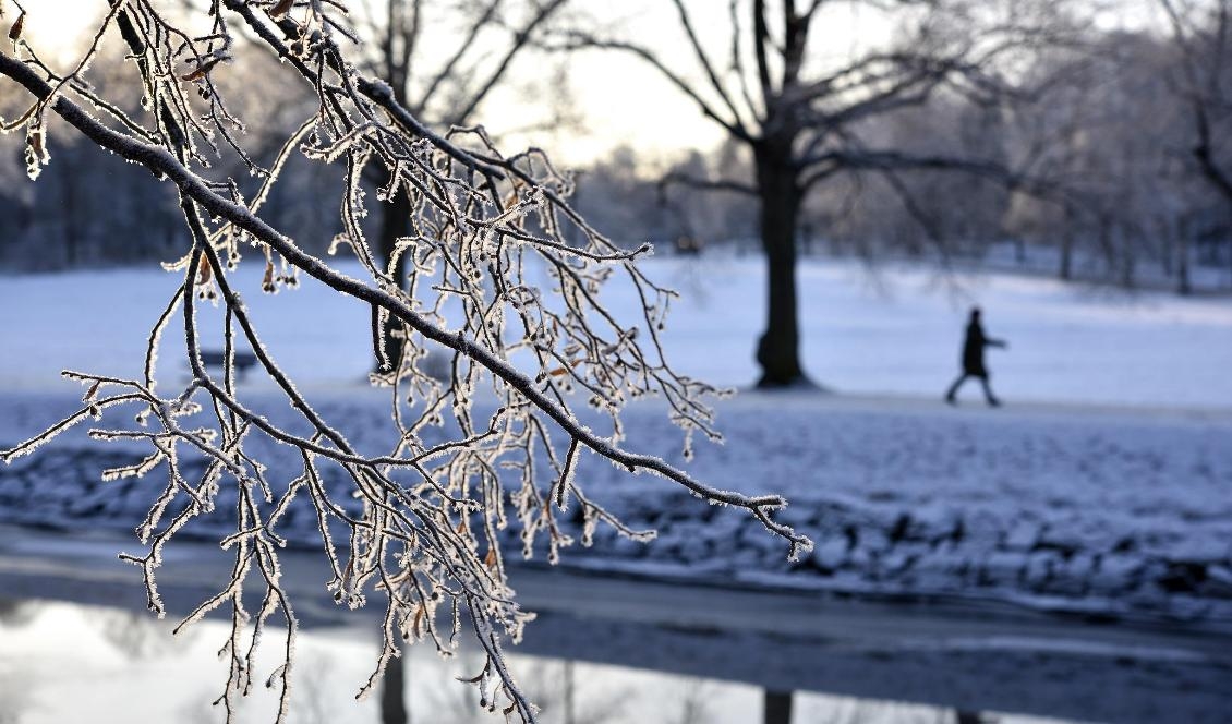 Det kalla vädret väntas hålla i sig de kommande dagarna. Foto: Anders Wiklund/TT-arkivbild