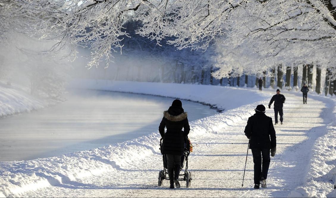 Det blir en klar och kalla vinterdag över större delar av landet. Foto: Anders Wiklund/TT-arkivbild