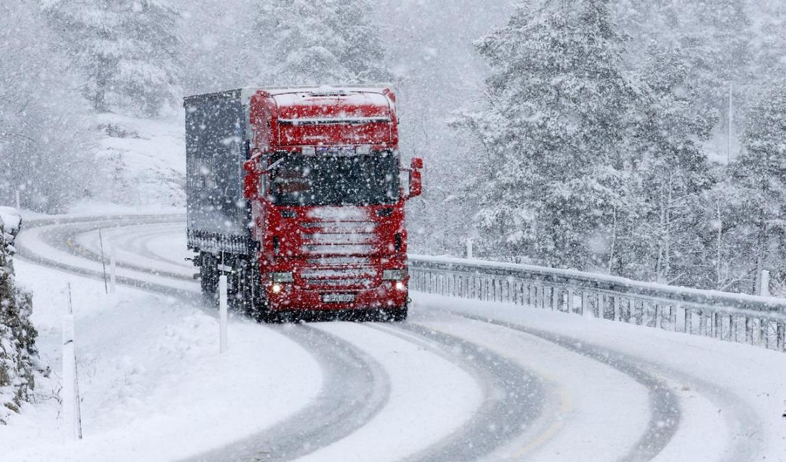 SMHI klass 1-varnar för snöfall under måndagen. Foto: Terje Pedersen/NTB Scanpix/TT-arkivbild