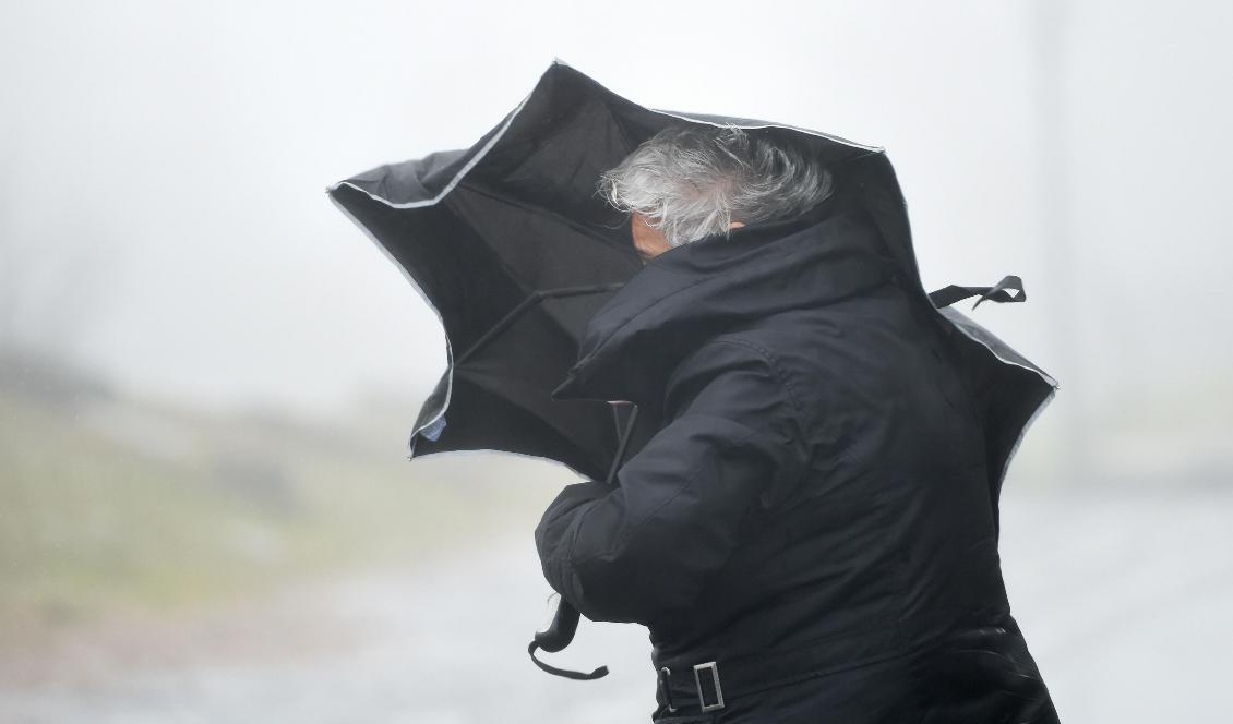 Förutom varningar för stormbyar i Västsverige bör man se upp om man befinner sig i södra Jämtlandsfjällen. Foto: Arne Dedert/AP/TT-arkivbild