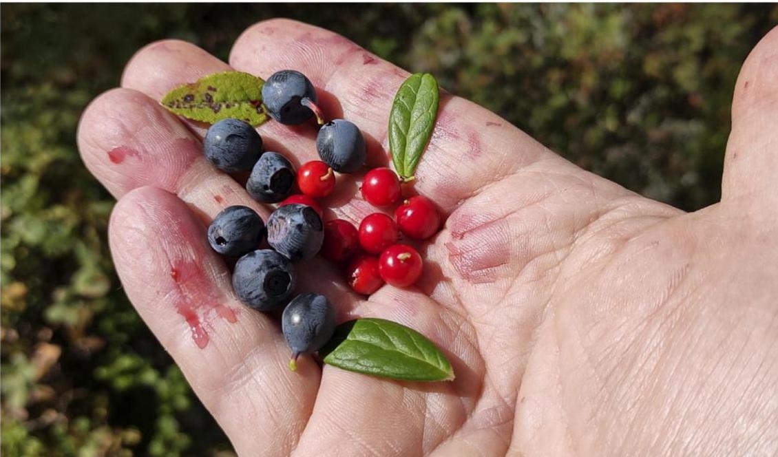 Vad en svensk mest längtar efter i utlandet, är de enkla självklara sakerna. Vilket annat land kan erbjuda denna delikata lyx? Foto: Emil Almberg