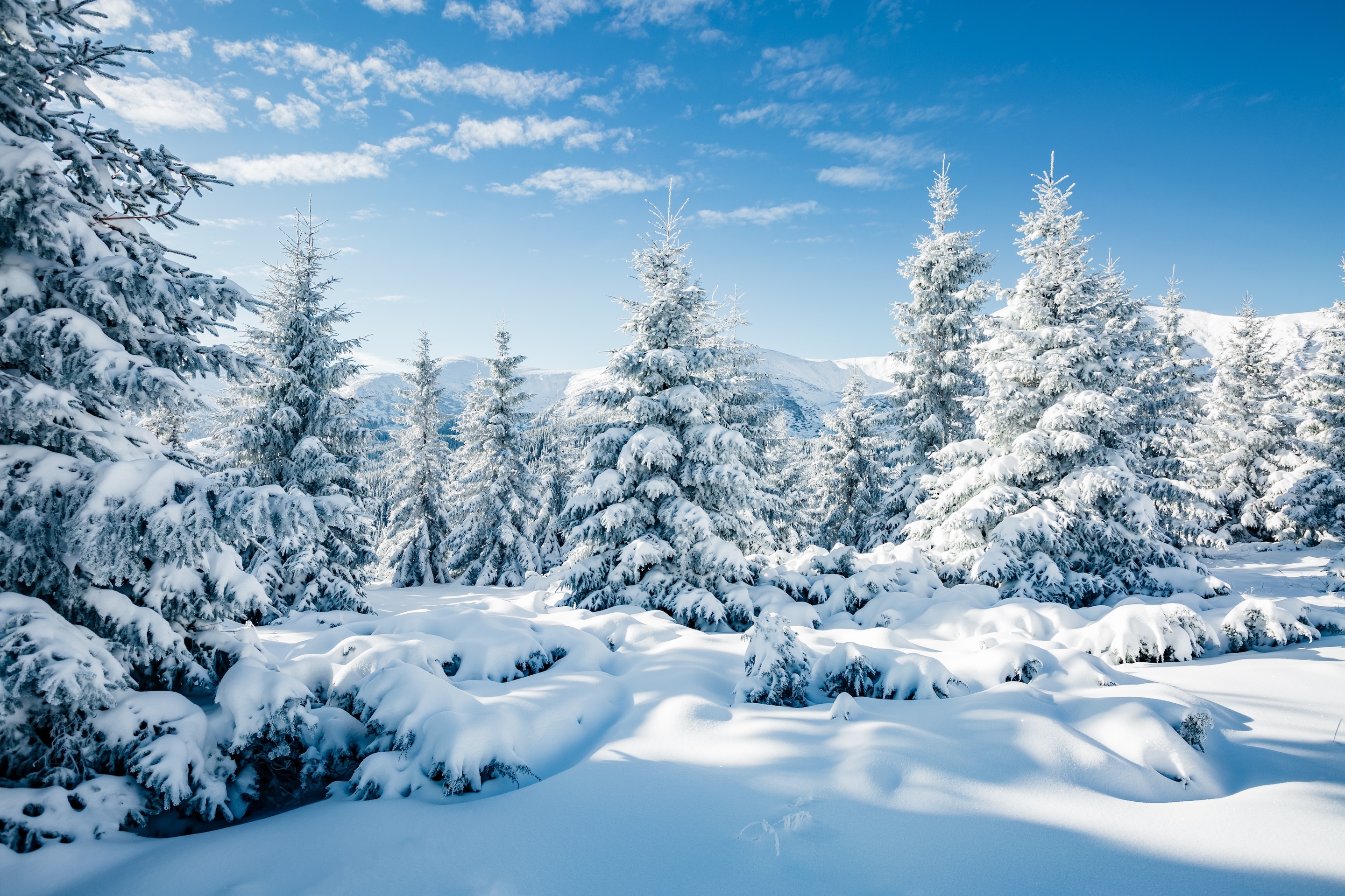 Den svenska naturen är en aspekt av Sverige, en så kallad pull-faktor, som lockar hit arbetskraftsinvandrare. FOTO: SHUTTERSTOCK