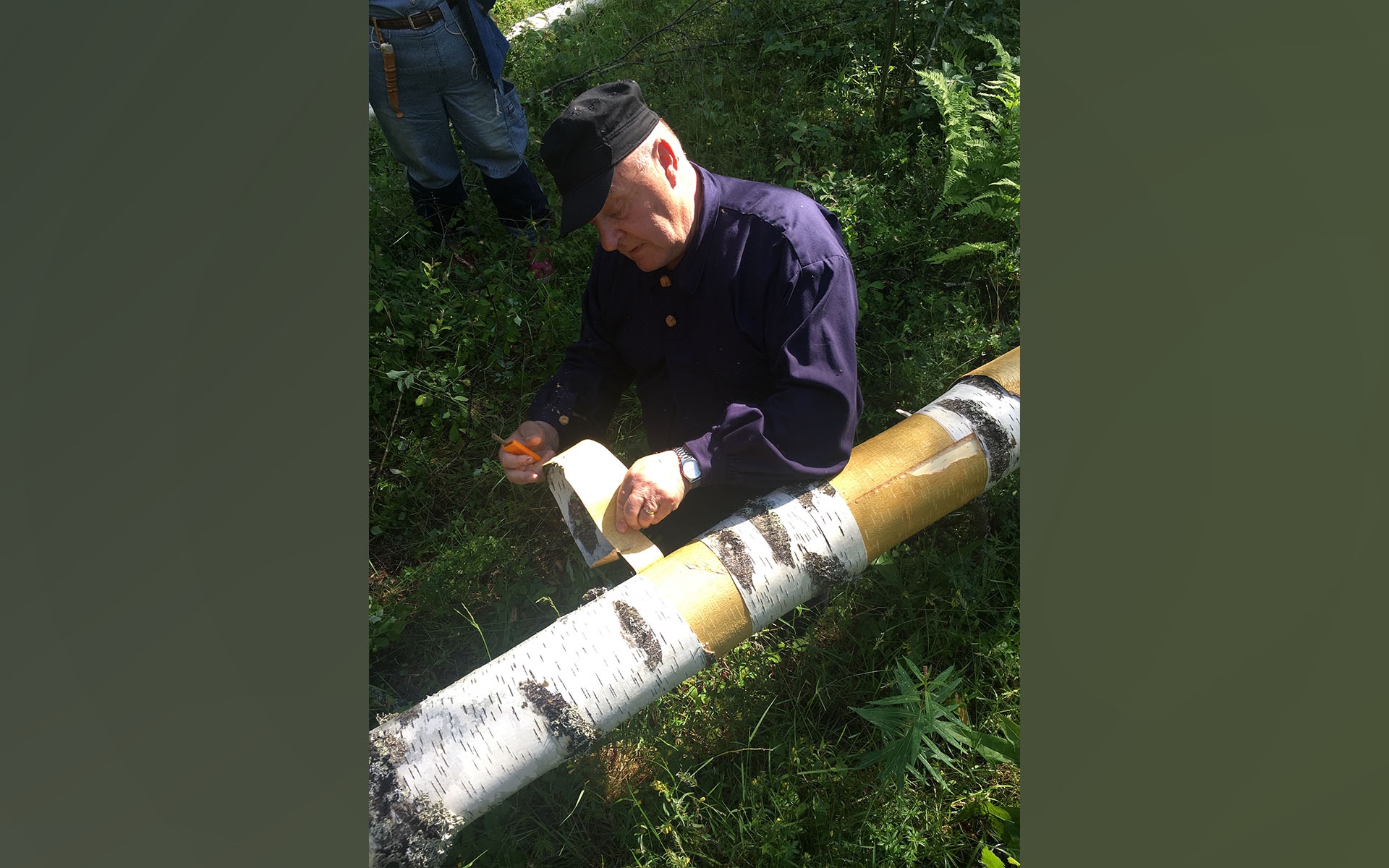 Projektet Näverskogen handlar om att återskapa den svenska näverproduktionen. Foto: Sara Danielsson