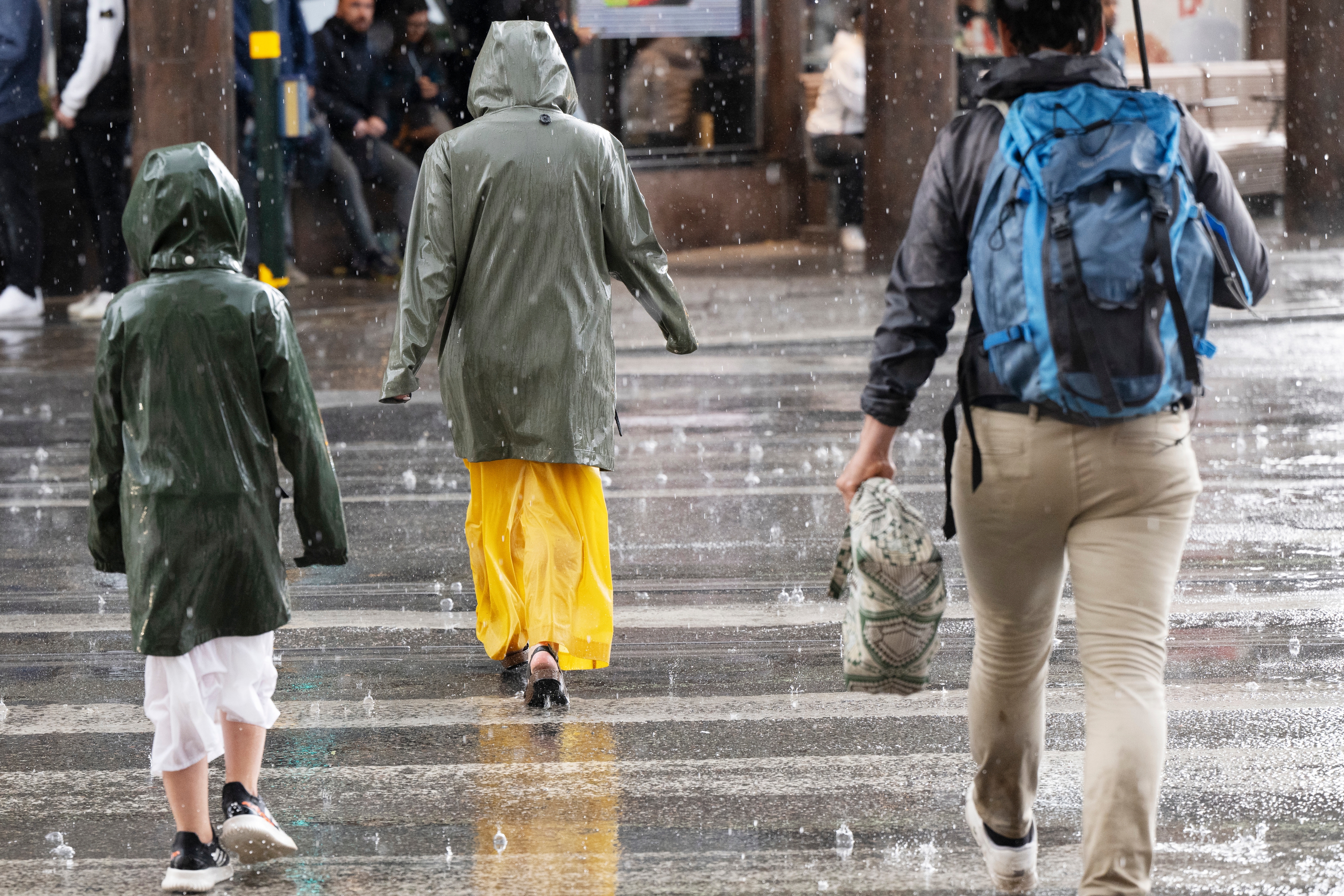 Skurarna kan lokalt ge 30-50 millimeter regn på kort tid, skriver SMHI. Arkivbild. Foto: Henrik Montgomery/TT