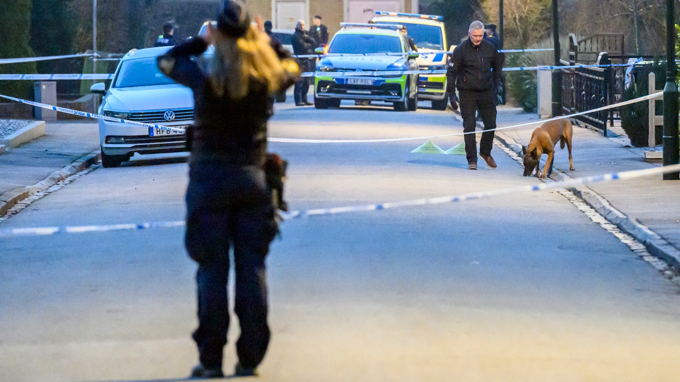 Polisen är på plats och söker med hund i villaområdet i Malmö efter det att en kvinna skadats i en skottlossning. Foto: Johan Nilsson/TT