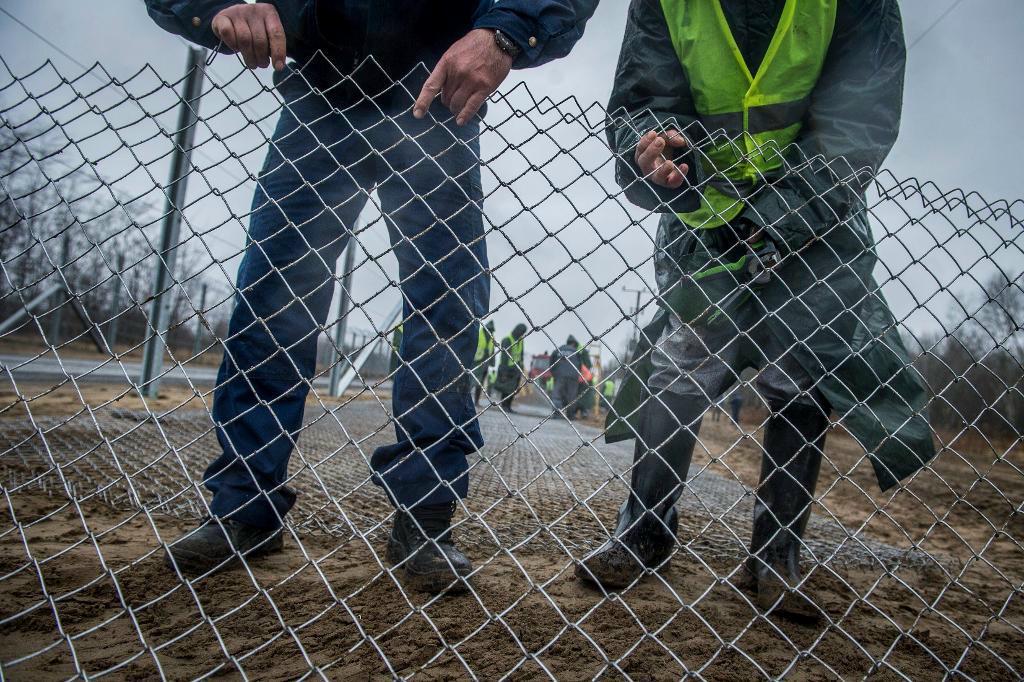 
Nu ska alla asylsökande i Ungern förpassas till taggtrådsomgärdade läger byggda av fartygscontainrar. Arkivbild. Foto: Sandor Ujvari/AP/TT                                            