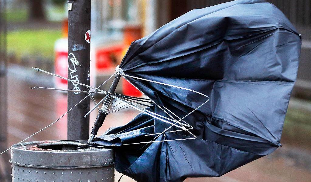 Regn och blåst drog in över Sverige från öster. Den ovanliga vindriktningen kan ha bidragit till oväntat stora konsekvenser. Arkivbild. Foto: Michael Probst/AP/TT