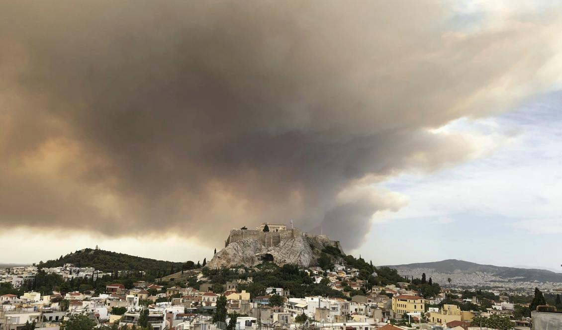 Rökpelaren stiger från området väster om Aten, över Akropolis. Foto: Theodora Tongas/AP/TT