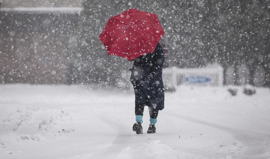 Det ska snöa – och temperaturen stiga. Klassiskt väder för halka. Foto: Julia Wall AP/TT-arkivbild