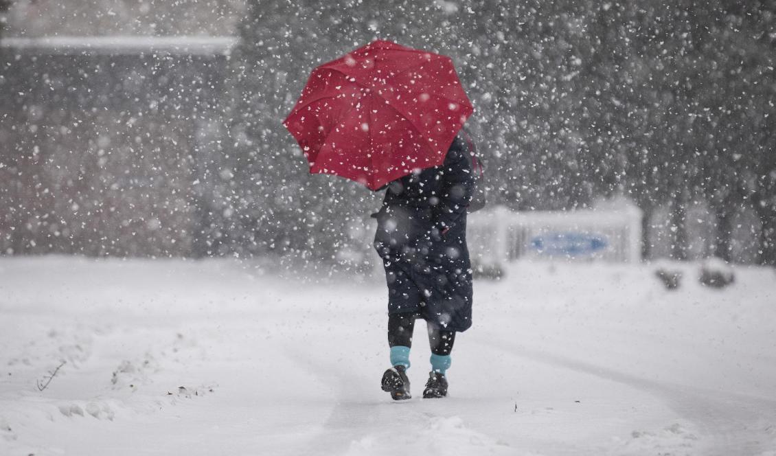 Nu faller snön i stora delar av Sverige. Foto: Julia Wall/AP/TT-arkivbild