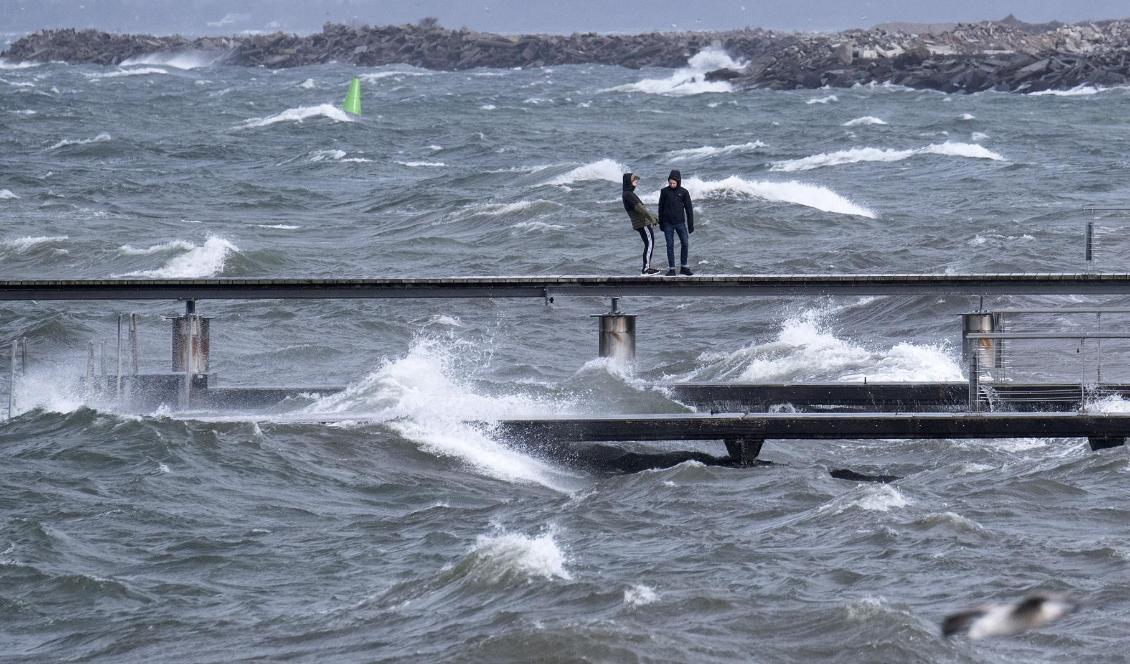 
Stormspaning på Scaniabadet i Malmö under fredagen. Foto: Johan Nilsson/TT                                                