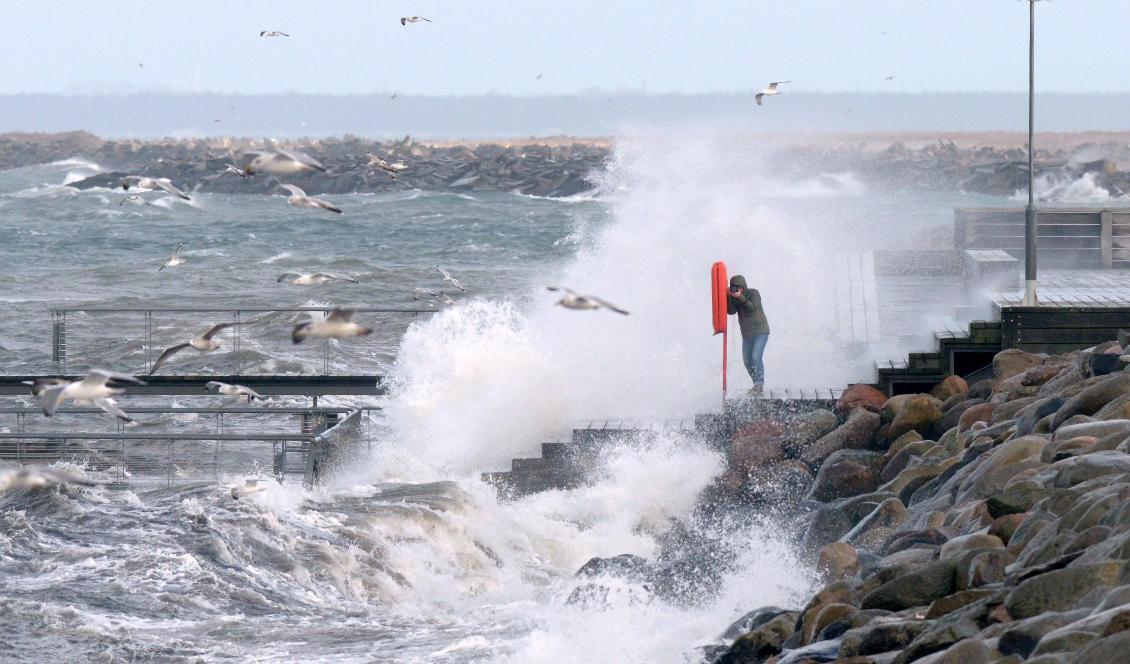 
SMHI har utfärdat en klass 2-varning för stormbyar i Skåne under fredagen. Foto: Johan Nilsson/TT-arkivbild                                                