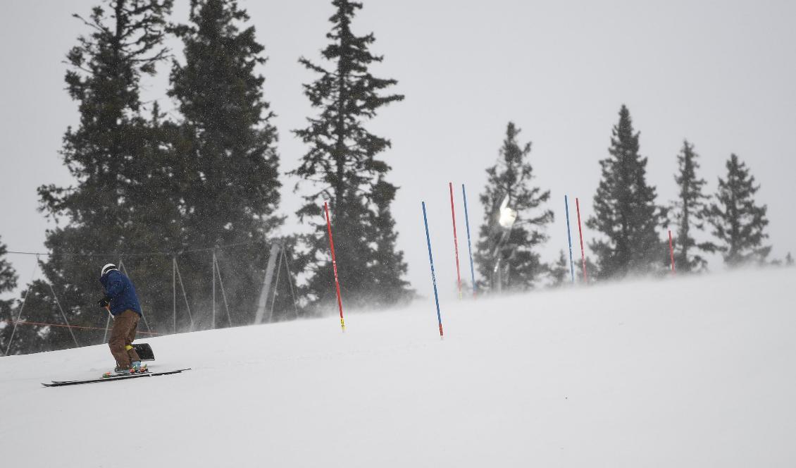 Det blir blåsigt i fjällen i dag. Foto: Pontus Lundahl/TT-arkivbild