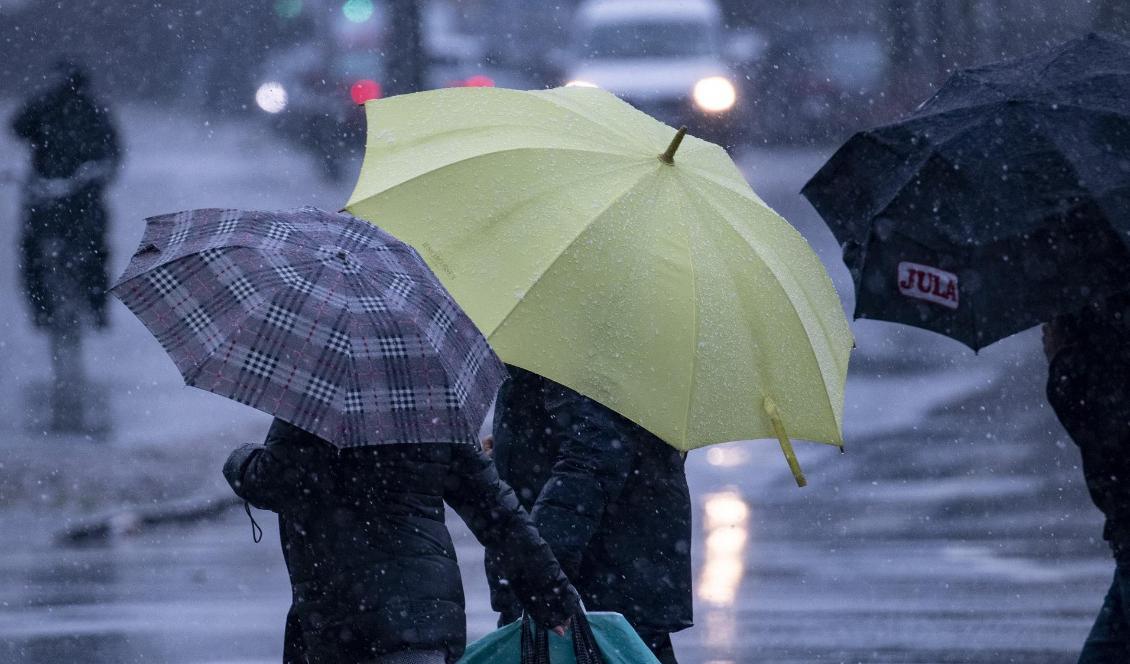 Stora delar av Norrland får plusgrader och tillhörande regn under dagen. Foto: Johan Nilsson/TT-arkivbild