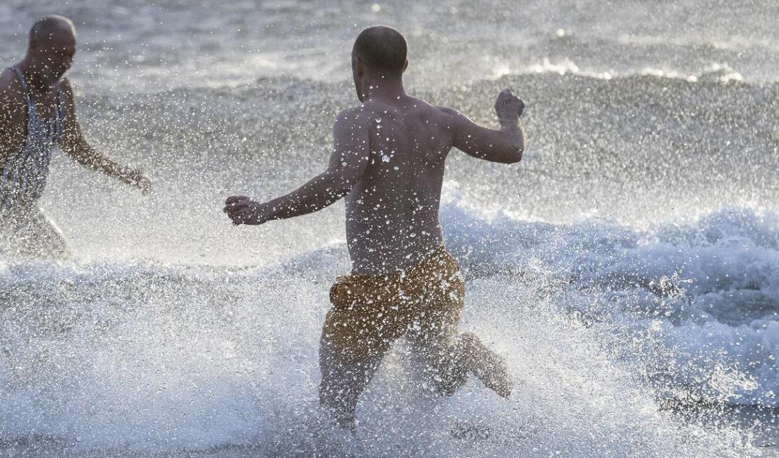 Januari var extremt mild. Här slänger sig nyårsbadare i havet i Ystad vid det traditionella doppet på nyårsdagen, med 6–7 grader i vattnet och luften. Foto: Johan Nilsson/TT-arkivbild