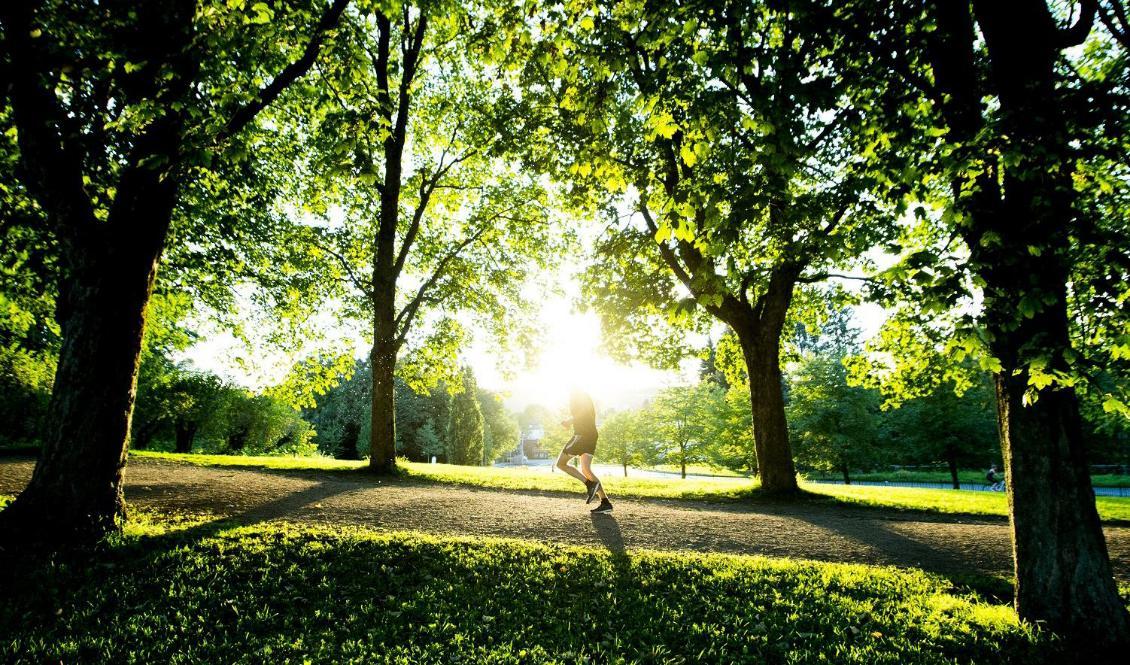 Solen värmer på flera håll i landet. Foto: Vegard Wivestad Grøtt/NTB/TT-arkivbild