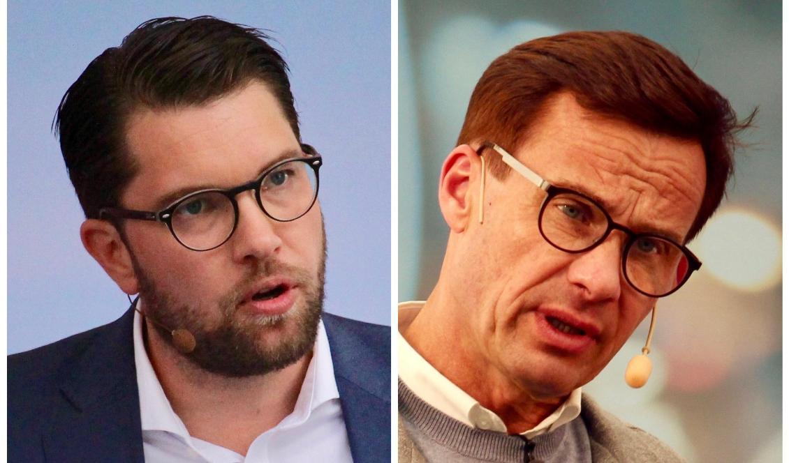 

Sverigedemokraterna och Moderaterna går framåt i opinionen. Foto: Susanne W. Lamm                                                                                        