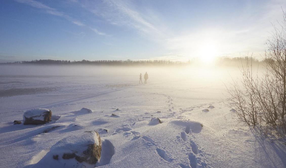 
Efter stormen kommer solen igen, några extra minusgrader senare glittrar kristallerna i snön som ett täcke broderat med diamanter. Foto: Shutterstock                                            