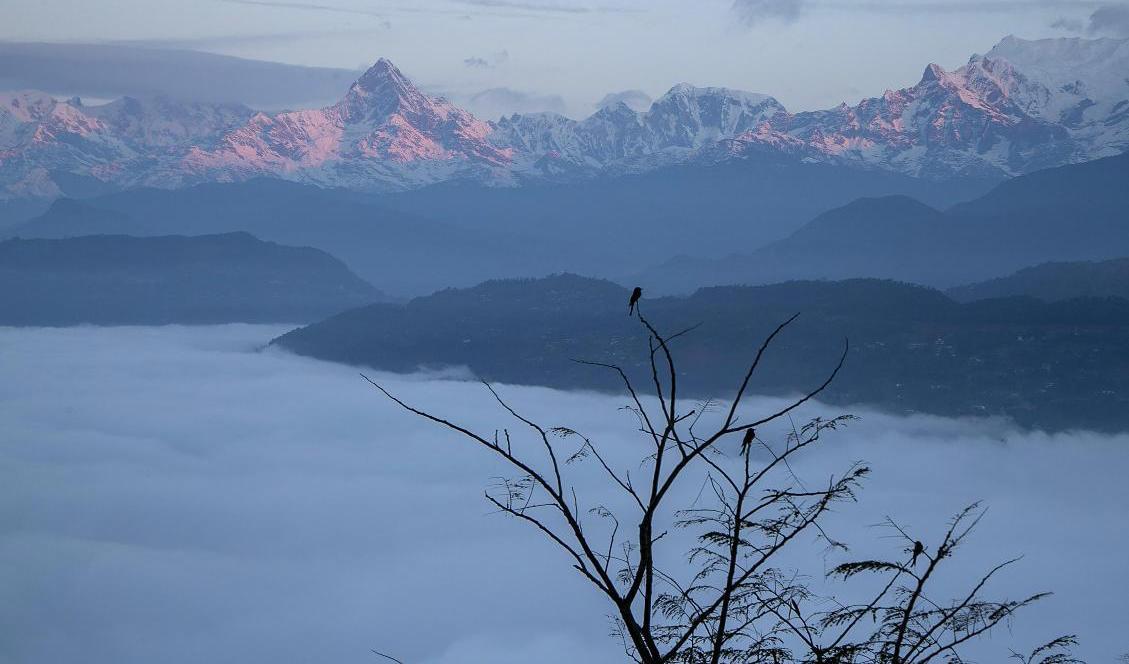 Vy från staden Pokhara, en populär turistdestination i Nepal. Arkivbild. Foto: Niranjan Shrestha/AP/TT