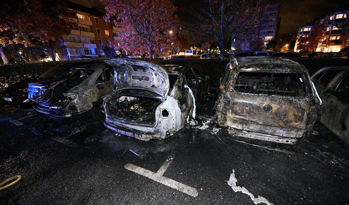 
Utbrända bilar på en parkering i Malmö. Bilar på flera platser i Malmö sattes i brand under tisdagsmorgonen, enligt polisen. Foto: Johan Nilsson/TT                                            