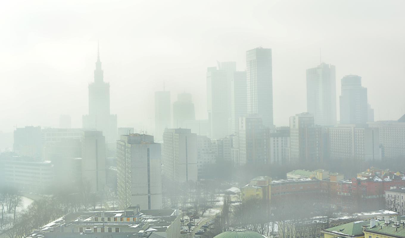 Det är inte landbygdsfolkets klimatfotspår, inte ens kornas. Det är den urbana miljön som är det absolut största problemet. Foto: Martyn Jandula