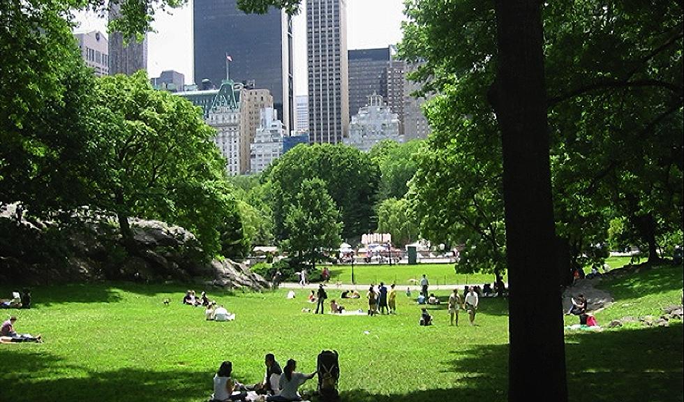 Central Park maximerar utbudet av stad och natur, på samma plats. Foto: Central Park Conservatory