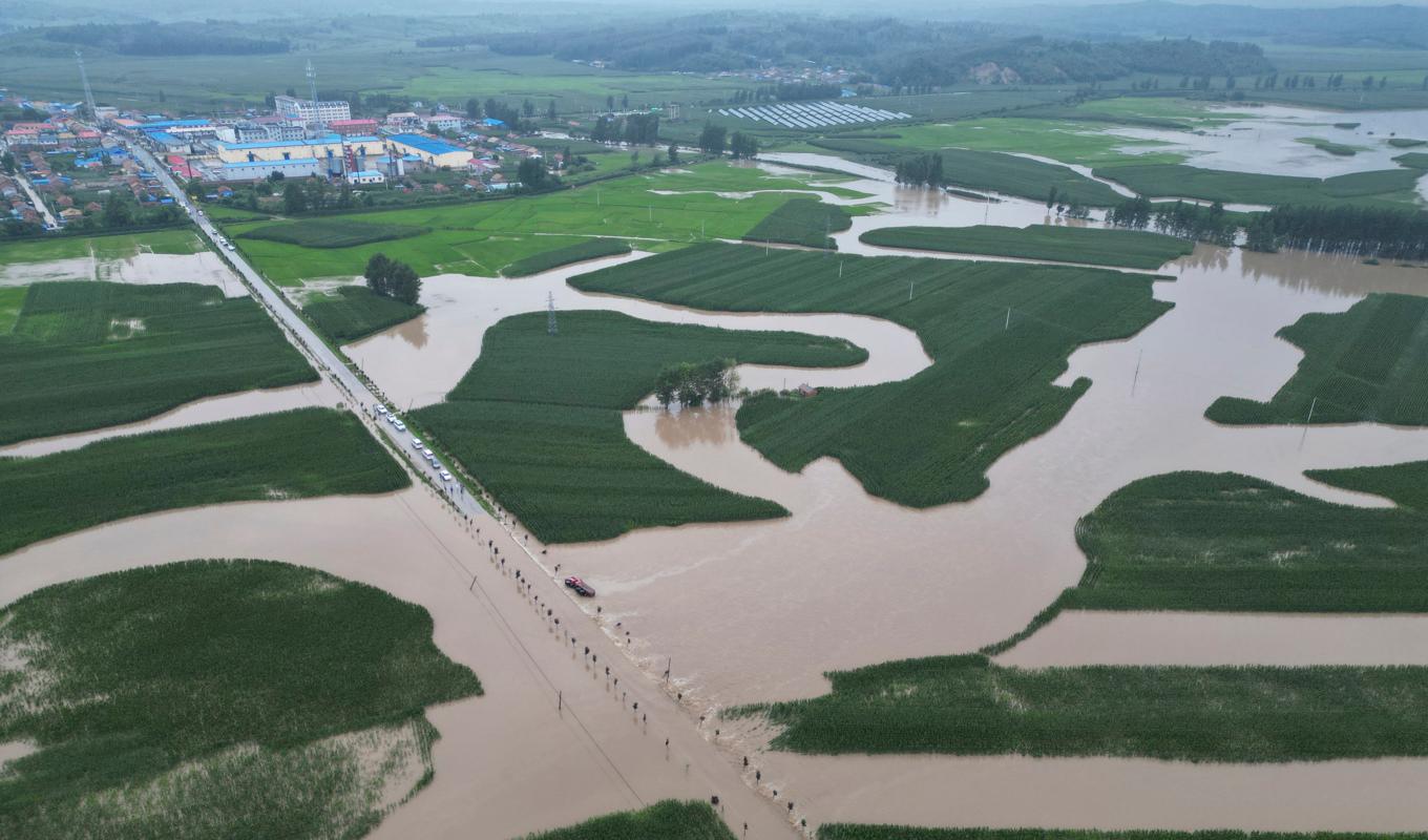 Flygbild över översvämmat område i Kinas nordöstra provins Jilin i fredags. Foto: Yan Linyun/AP/TT