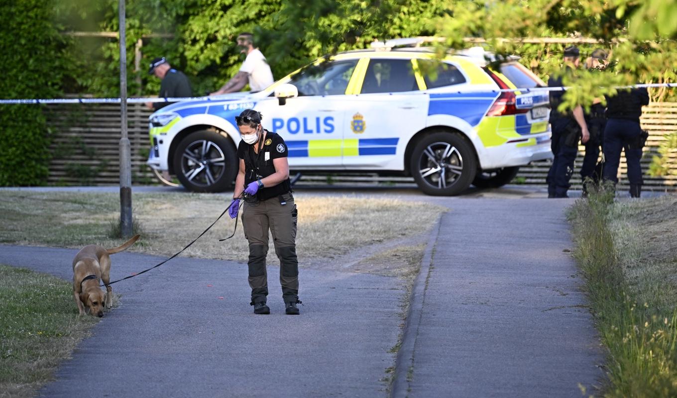 Polis på plats och söker med specialsökhund på en gång- och cykelväg i Ängelholm efter att en flicka i tioårsåldern förts till sjukhus efter en knivattack. Arkivbild. Foto: Johan Nilsson/TT