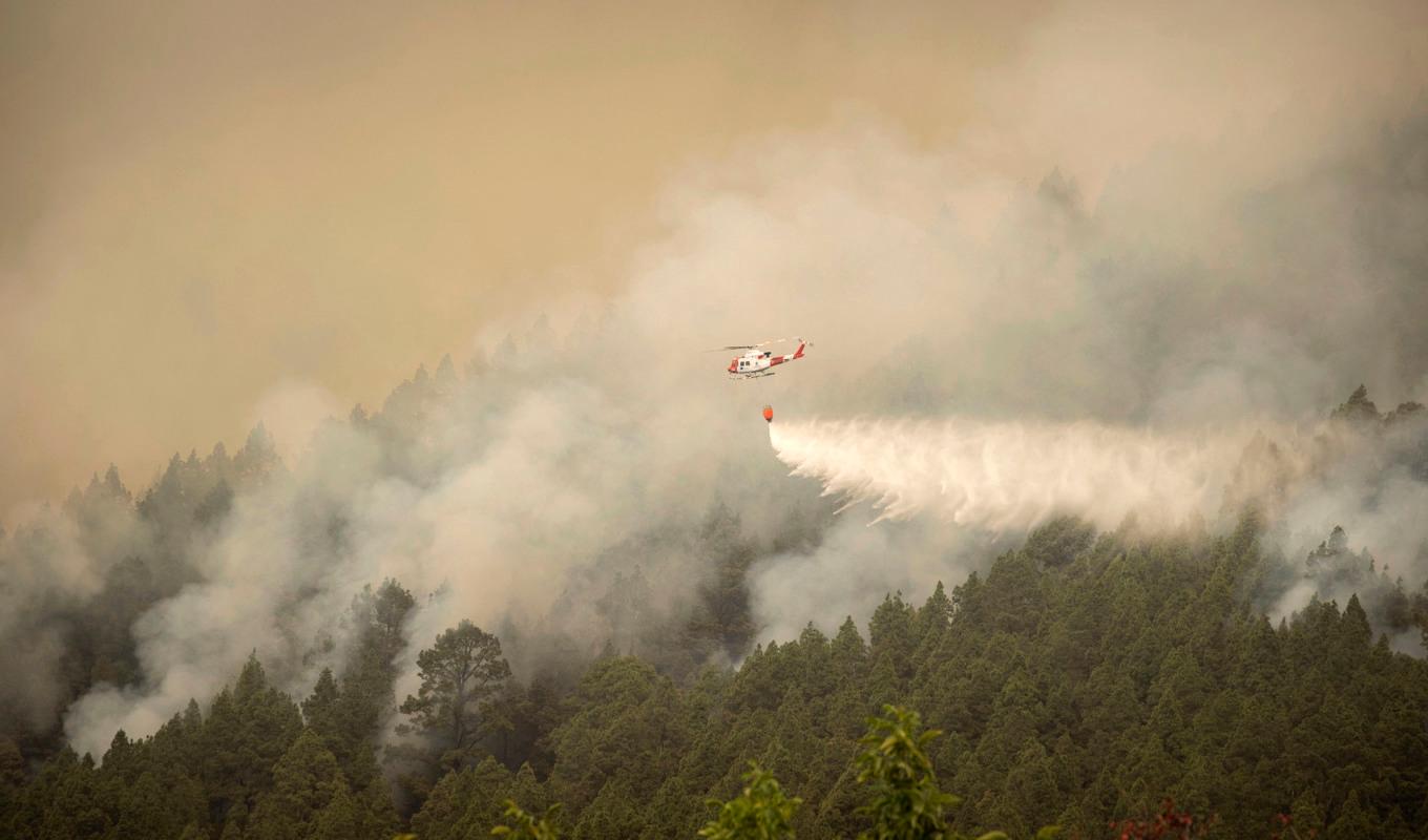 Ett flygplan vattenbombar branden på norra Teneriffa. Foto: Arturo Rodriguez/AP/TT