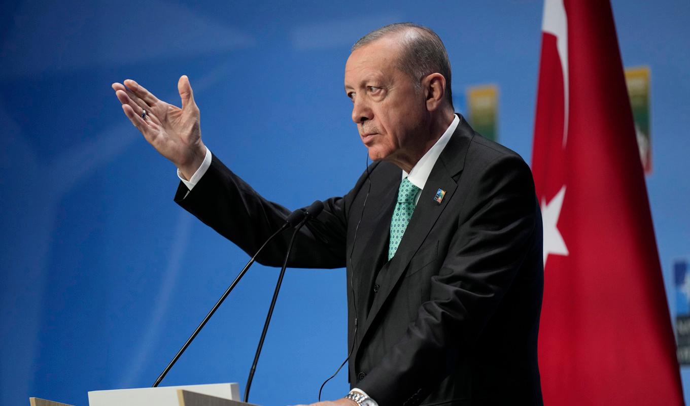 Turkiets president Recep Tayyip Erdogan. Arkivbild. Foto: Pavel Golovkin/AP/TT