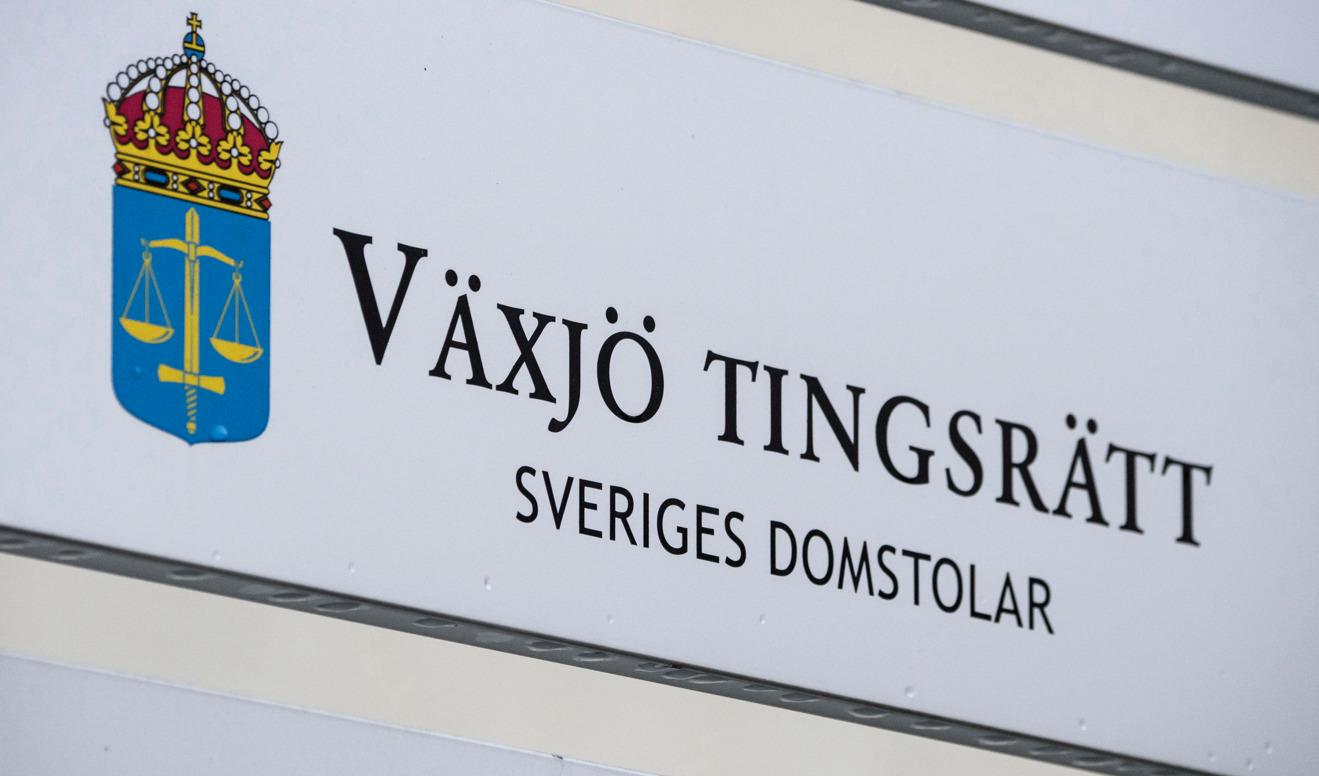 En anonym kvinna åtalas i Växjö tingsrätt efter en protestaktion i fredags Foto: Johan Nilsson/TT