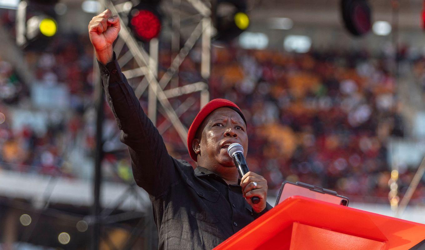 Malema, ledare för partiet Economic Freedom Fighters (EFF). Foto: Guillem Sartorio/AFP via Getty Images