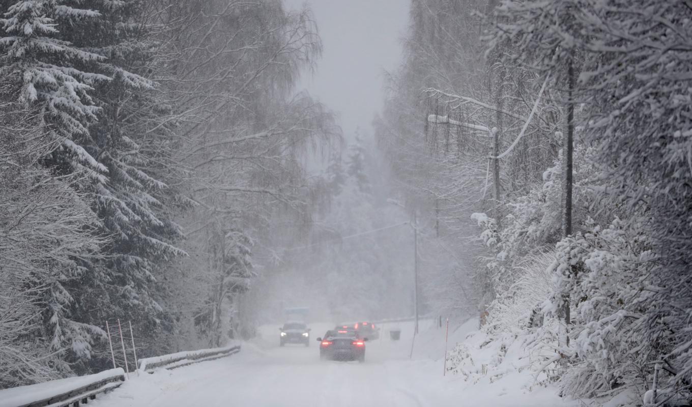 Snöoväder väntar Norrlandskusten under helgen. Foto: Mats Andersson/TT