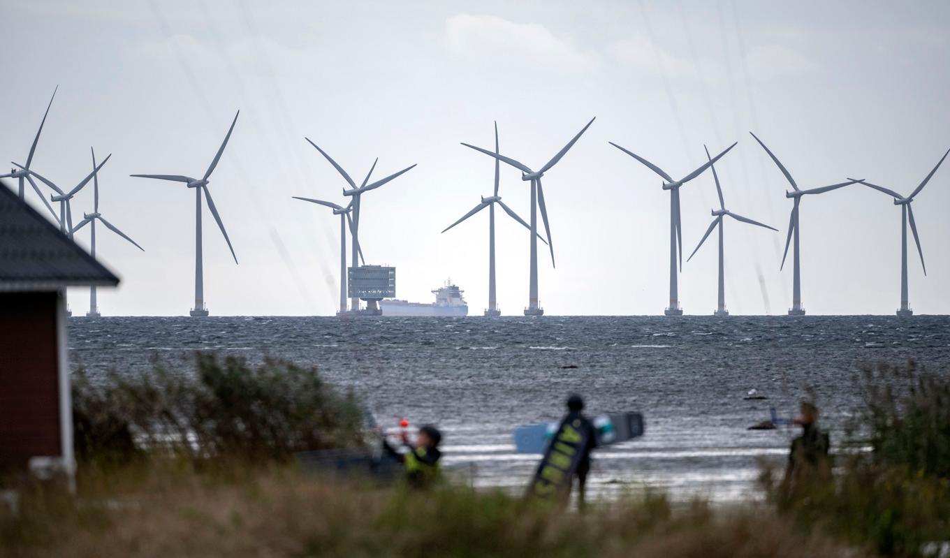 Vindkraftverken i Lillgrund vindkraftpark utanför Bunkeflostrand söder om Öresundsbron. Lillgrund består av 48 vindkraftverk med en höjd på 115 meter. Foto: Johan Nilsson/TT