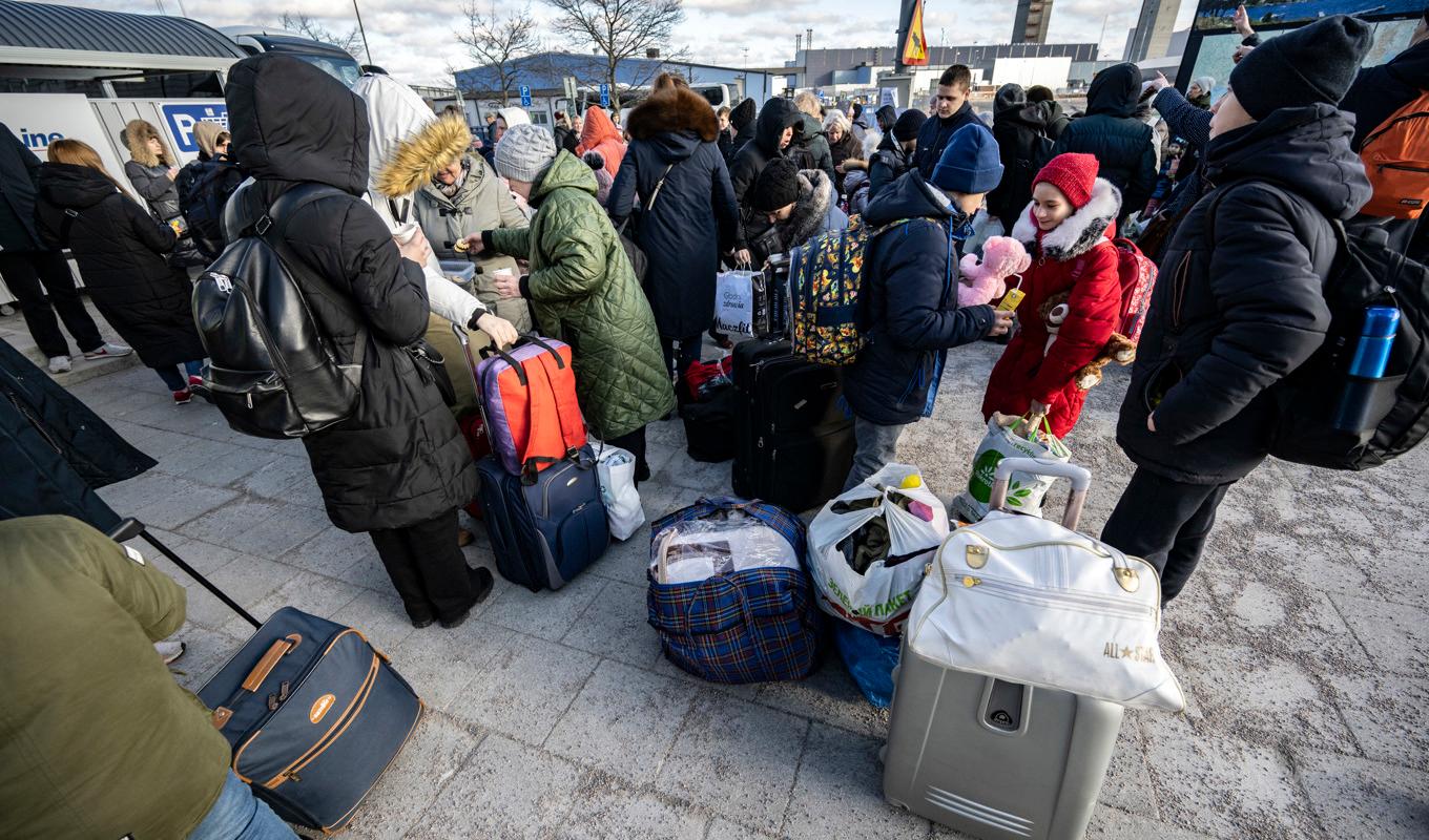 Regeringens 100 miljoner kronor räcker till 3|500 ukrainares svenskstudier – men i Sveriges finns över 24|000 ukrainare, uppger SKR. Arkivbild. Foto: Johan Nilsson/TT