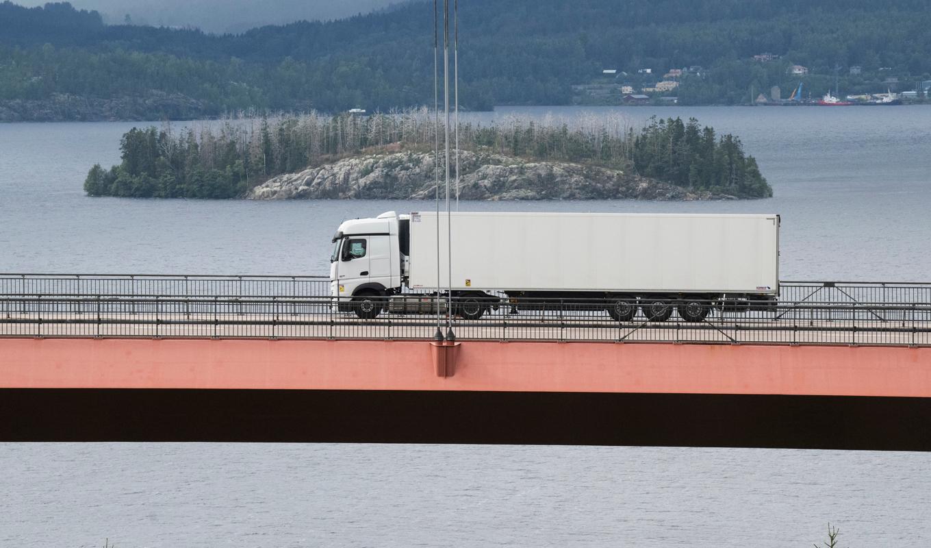 Skolinspektionen kräver åtgärder på 25 av de 28 granskade utbildningarna. Arkivbild. Foto: Fredrik Sandberg/TT