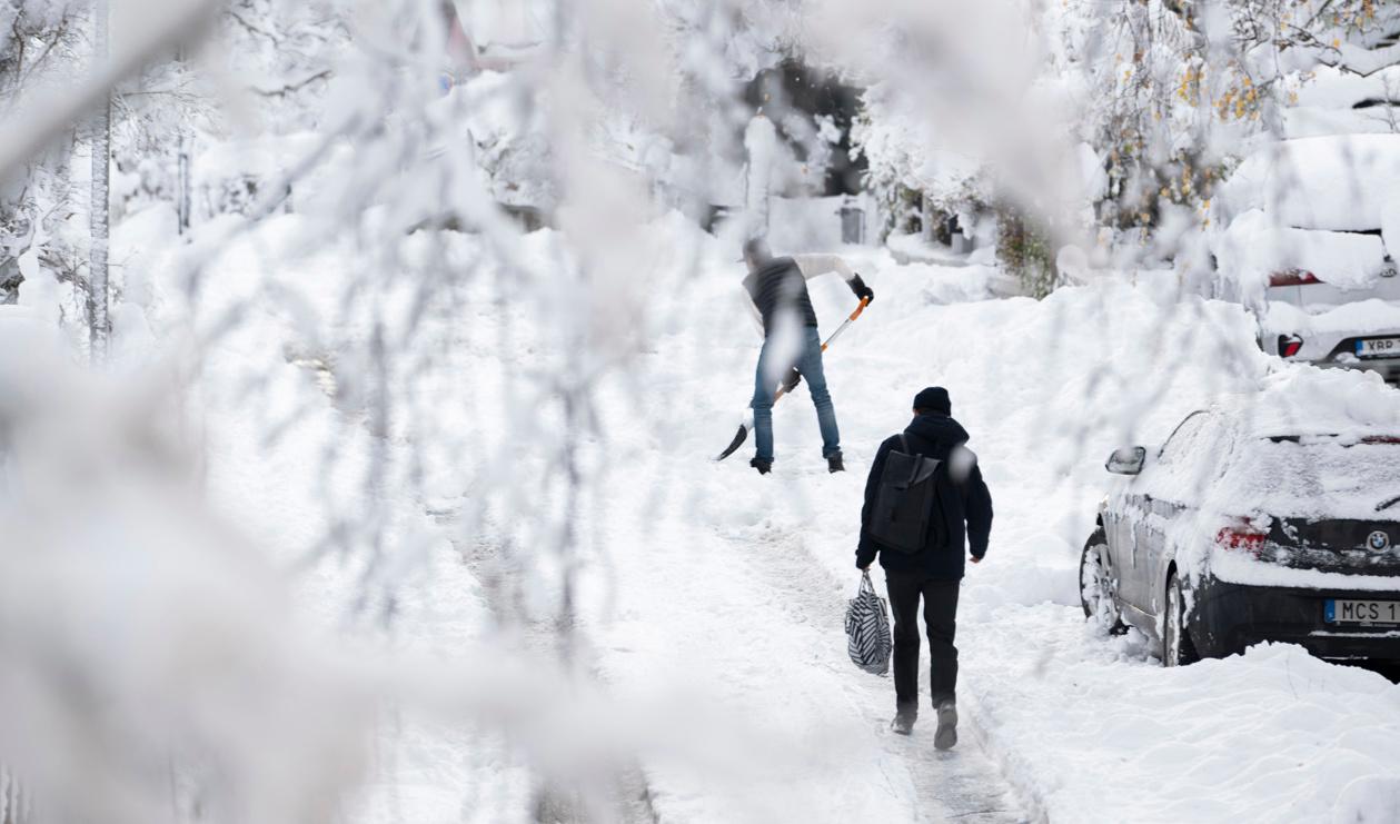 Lokalt väntas kraftiga snöfall i Uppsala och Stockholms län under fredagen. Arkivbild. Foto: Henrik Montgomery/TT