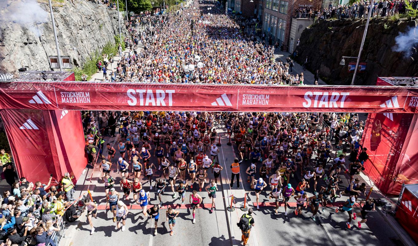 Starten i Stockholm Marathon 2023. Foto: Christine Olsson/TT