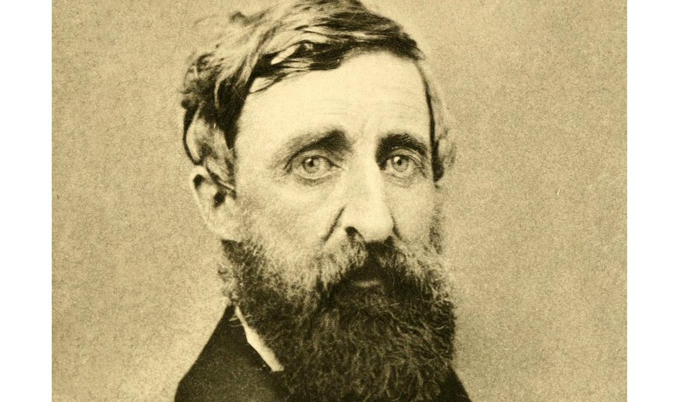 Henry David Thoreau (1817–1862) lät sig fotograferas två gånger i sitt liv. Denna bild är från andra sittningen, år 1861.Foto. Public Domain