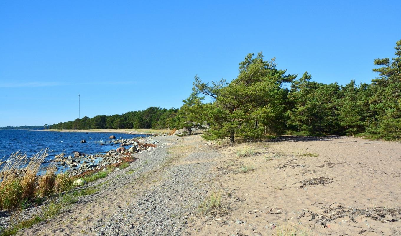 Ett uppluckrat strandskydd skulle öppna upp för en byggnation av bostäder närmare sjöar och vattendrag än vad som i dag är möjligt enligt lagen. Foto: Johan Fredriksson